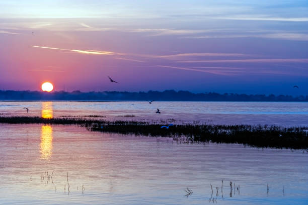 Amazing Sunset over Lake Toho in Kissimmee, Florida stock photo
