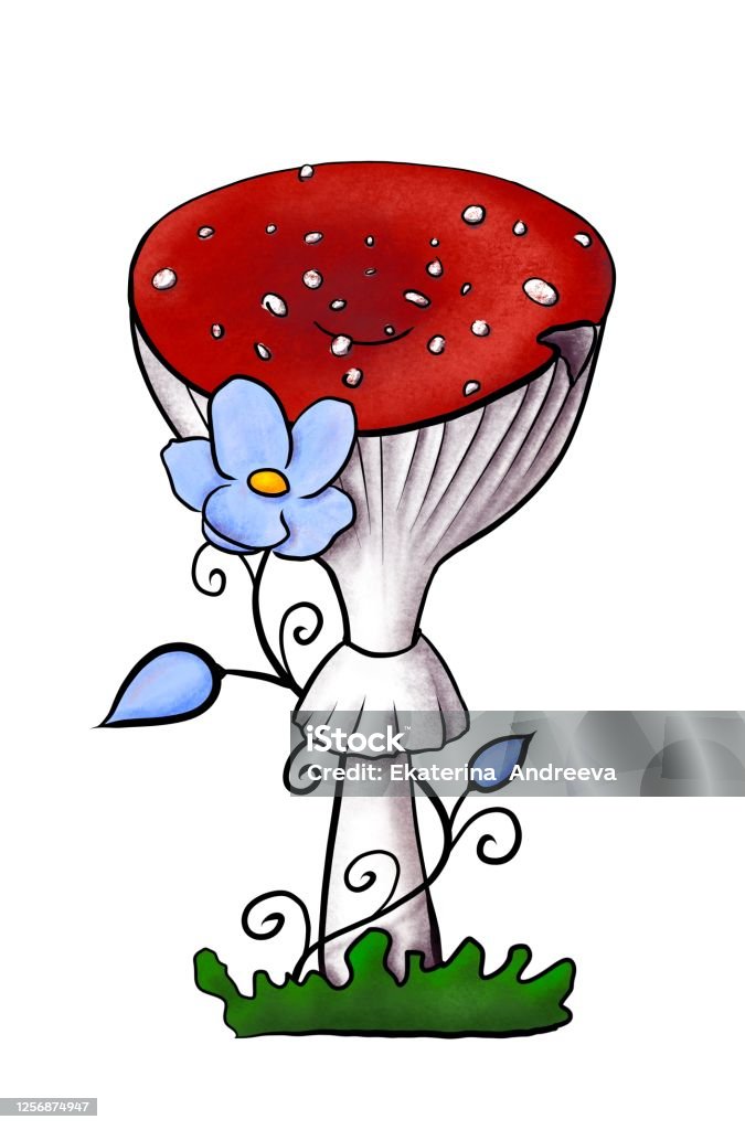 Illustration of redcap fly agaric with blue flower on green grass. Hand-drawn poisonous mushroom with dots on red cap and ring isolated on white. Dangerous amanita muscaria grows in woods and forests. An illustration of redcap fly agaric with chipped spot on flat hat. Hand-drawn poisonous mushroom with dots on red cap and ring isolated on white. Dangerous amanita muscaria grows on green grass in woods and forests. Blue blooming plant with buds and leaves as spirals. Alchemy stock illustration