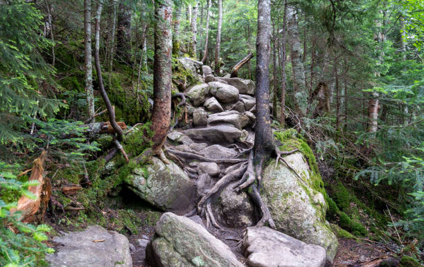 istock Rocky hiking trail 1256875061