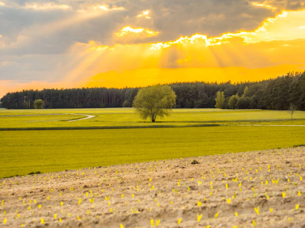 istock Podlasie. Podlachia. Poland, Europe. 1256876252