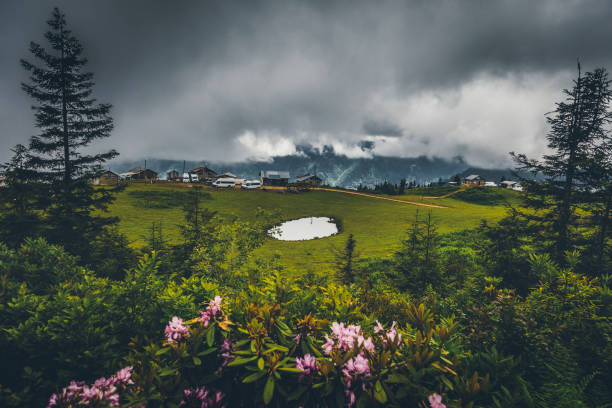 Landscape view of Badara Plateau and Highland Houses, Camlıhemsin, Rize, Turkey Beautful nature landscape view at Badara Plateau and Highland Houses, in Senyuva, Çamlıhemşin, Rize in Black sea region of Turkey on sunny summer morning. plateau photos stock pictures, royalty-free photos & images