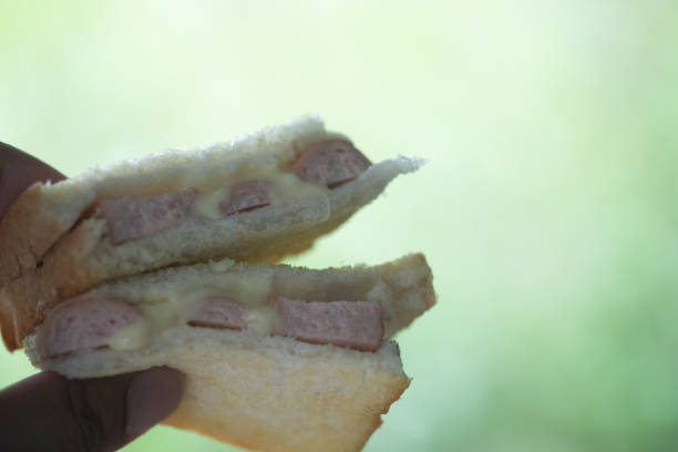 istock Sandwich ham cheese in hand on blur nature background 1256878425