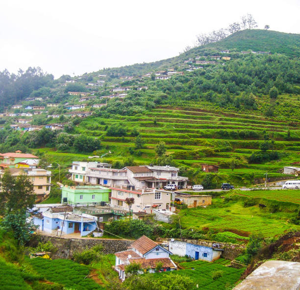 Ooty is also called as Udhagamandalam. It is a resort town in the Western Ghats mountain range in Tamilnadu State in southern India. It was a summer resort during British rule. It is famous for its tea plantations, affluent natural beauty, and the scenics nature. It is an year round destination, but the ideal time to visit is between the months of April to June and September to November. The photo depicts the terraced fields of tea plantations and a part of the townscape in Ooty.