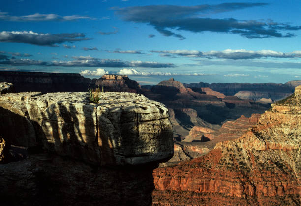 istock Grand Canyon NP - South Rim Shadows - 1990 1256885879