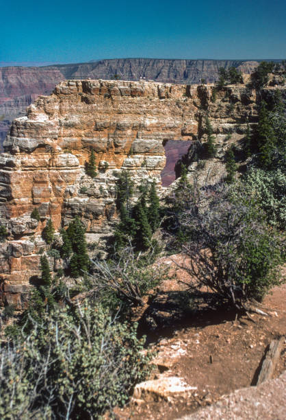 istock Grand Canyon NP North Rim - Angels Window Vertical - 1998 1256888395
