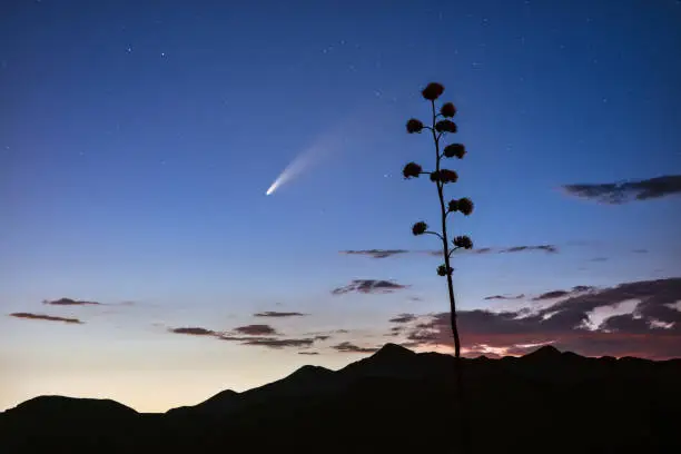 Comet Neowise streaks across the night sky in the Tonto National Forest near Phoenix, Arizona.