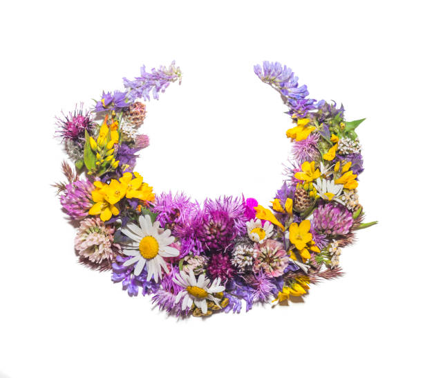 istock Crescent of flowers on a white background 1256888740