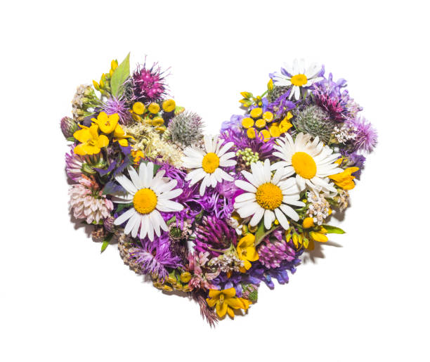 Heart symbol made of flowers on vintage wooden table background. Top view.