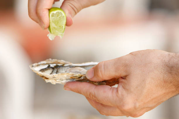 istock Culture of Florianopolis 1256890242