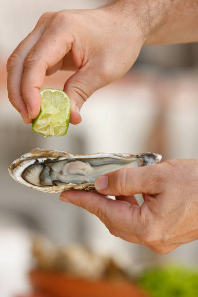 istock Culture of Florianopolis 1256890245