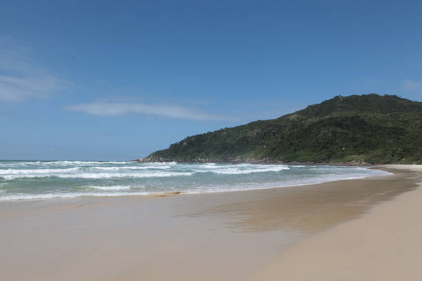 istock Florianopolis - fishing and sea 1256893207