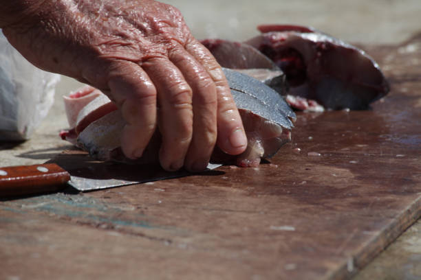 istock Florianopolis - fishing and sea 1256894445