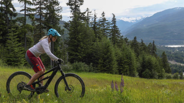 istock Female mountain e-biker rides through grassy meadow 1256894514