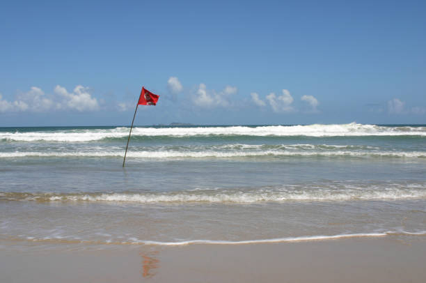istock Florianopolis - fishing and sea 1256894547