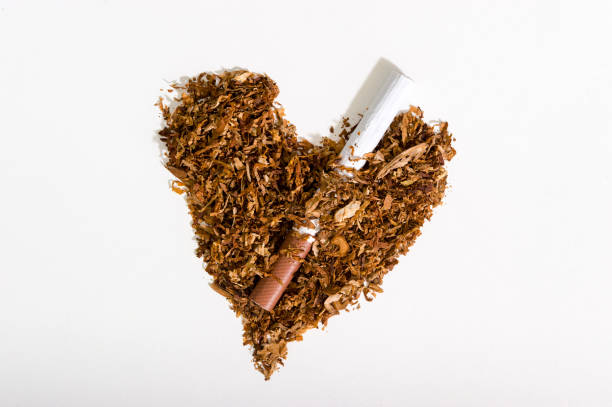 A heart made of cigarette tobacco is pierced by a cigarette. The concept of world no tobacco day. Give up smoking. stock photo