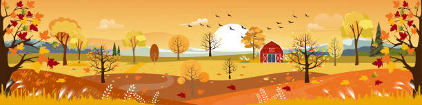 panorama der landschaft im herbst, vektor-illustration der horizontalen banner der herbstlandschaft, scheune, berge und ahornblätter fallen von den bäumen in gelbem laub. herbstsaison - leaf autumn falling tree stock-grafiken, -clipart, -cartoons und -symbole