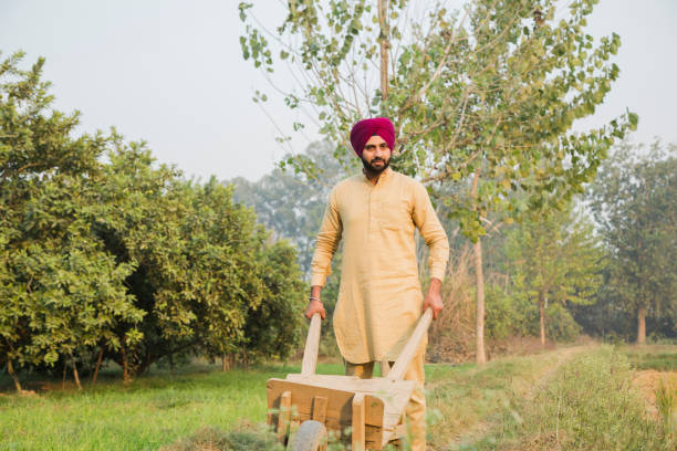 istock Young Sikh Man - stock photo 1256902617