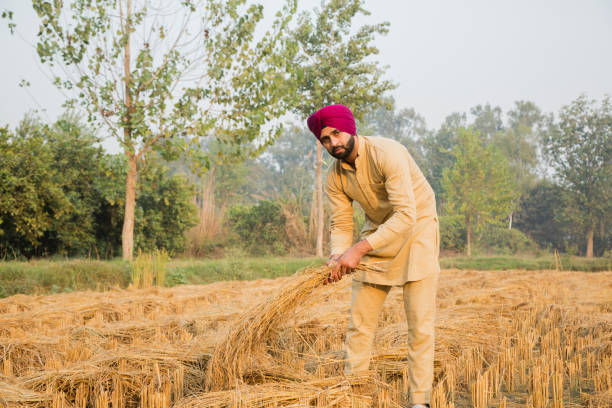 istock Young Sikh Man - stock photo 1256902642