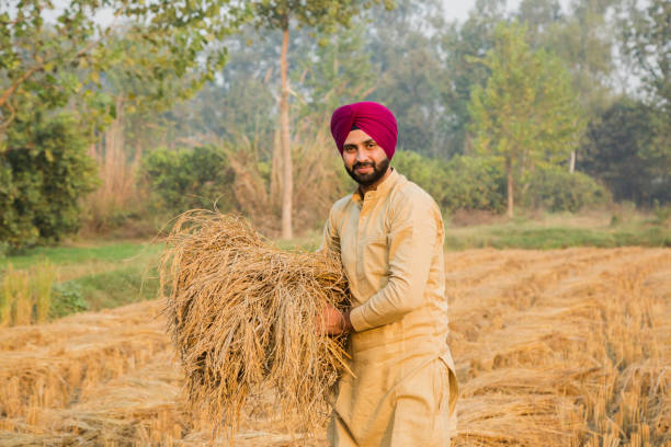 istock Young Sikh Man - stock photo 1256902680