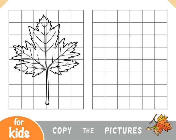 ilustrações de stock, clip art, desenhos animados e ícones de copy the picture, game for children, maple leaf - maple keys maple tree seed tree