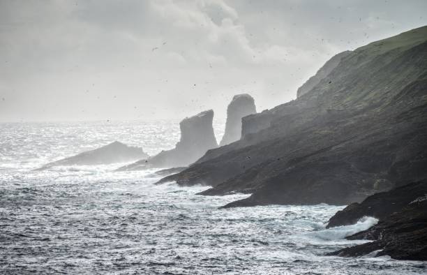 istock Birds swarm over Mykines island's coastline 1256903522