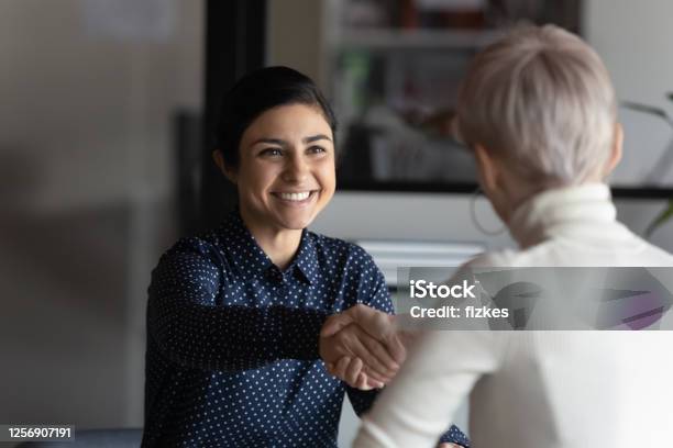 Successful Manager Making Deal With Partner Shake Hands Express Respect Stock Photo - Download Image Now