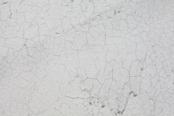 istock Gray weathered wall texture. Old Background with crack 1256912058
