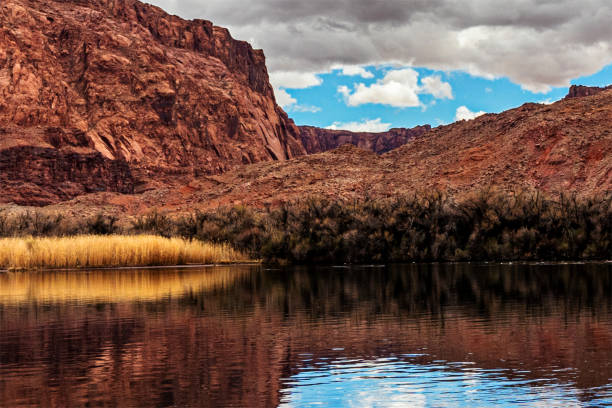 river colorado agindo como um espelho para o cenário circundante, lees ferry landing, page, az, eua - indigenous culture flash - fotografias e filmes do acervo