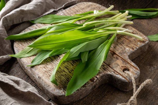 Fresh young wild garlic leaves Fresh young wild garlic leaves on a rustic table wild garlic leaves stock pictures, royalty-free photos & images