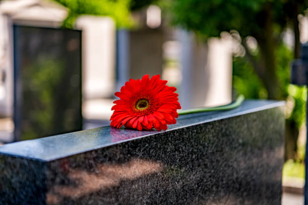 istock Flower on memorial stone close up 1256916553