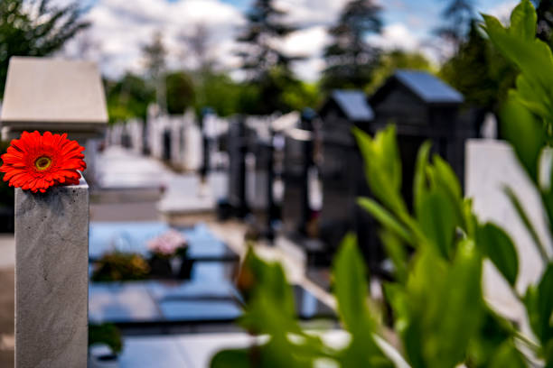 istock Flower on memorial stone close up 1256916594