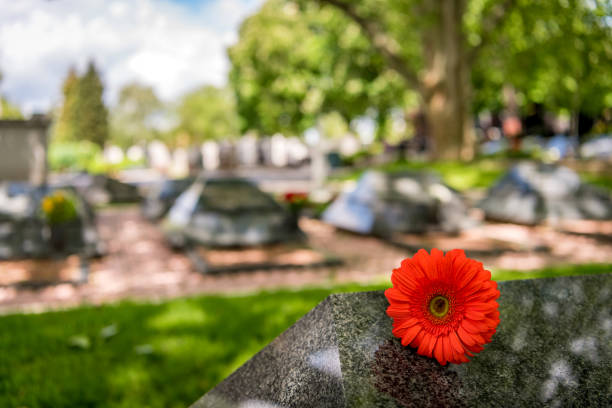 istock Flower on memorial stone close up 1256916729