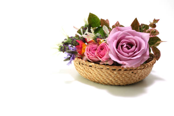 varios tipos de cabeza de flor en la cesta - hanging flower basket isolated fotografías e imágenes de stock