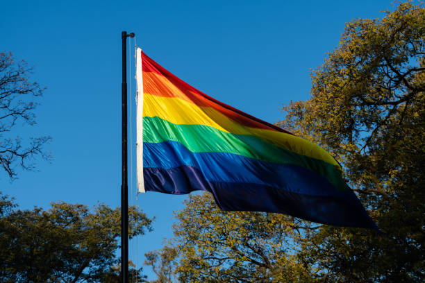 istock LGBT flag flying on mast 1256924741
