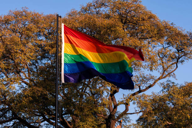 istock LGBT flag flying on mast 1256924742