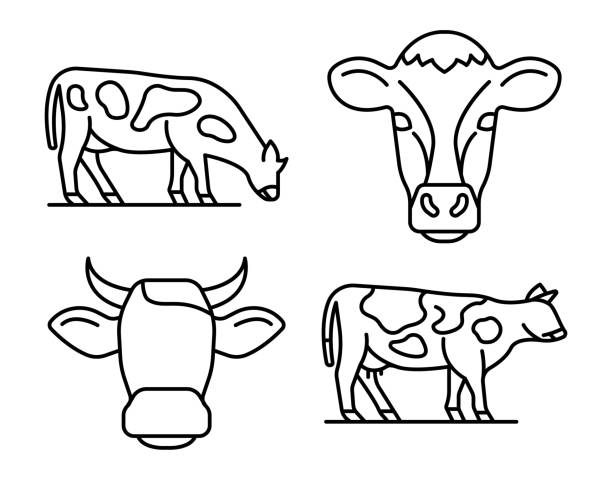 Cow icons set, outline style Cow icons set. Outline set of cow vector icons for web design isolated on white background herd of cows stock illustrations