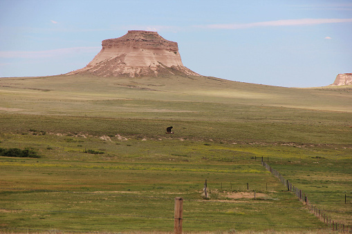 Pawnee National Grasslands, Weld County Colorado
