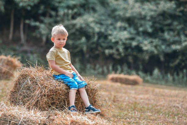 istock Enjoying a summer sunny day in the field 1256934572