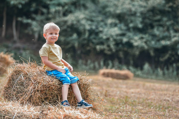 istock Enjoying a summer sunny day in the field 1256934643