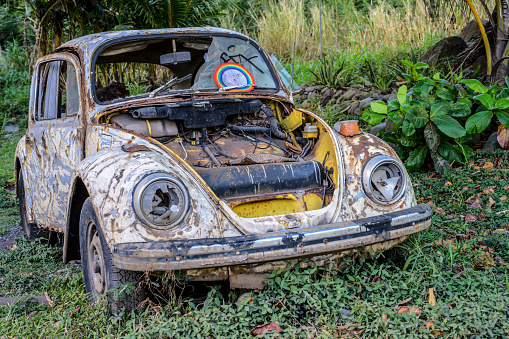 Hana, Maui, Hawaii, USA,  February 6, 2019:Old abandoned Volkswagen Beetle beyond repair but well-decorated in remote wooded area along the famous Road to Hana.