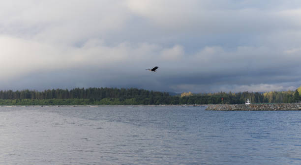 istock Port Renfrew aka Wild Renfrew, BC 1256937017