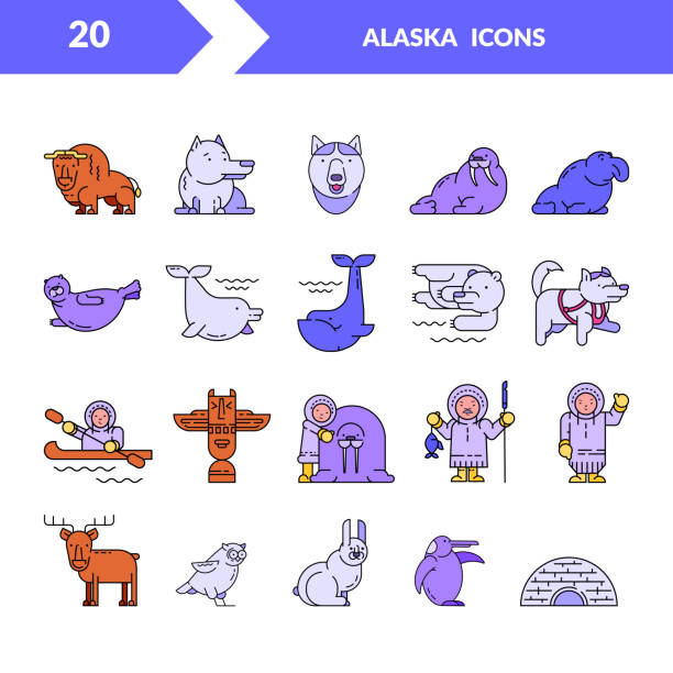 illustrations, cliparts, dessins animés et icônes de animaux arctiques et esquimaux. icônes linéaires vectorielles. - symbol sea animal owl