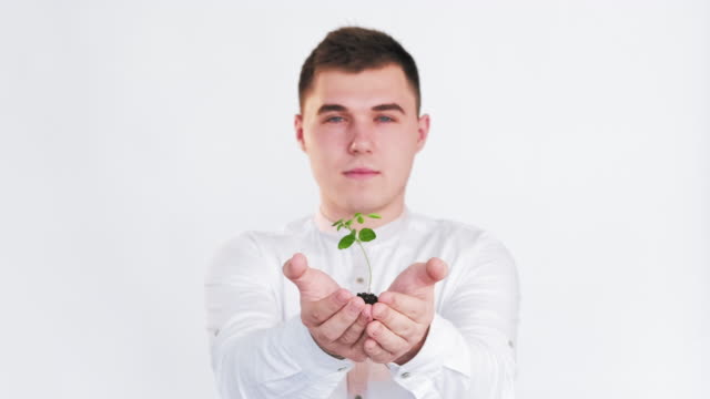 plant in hands man offering growing seedling white