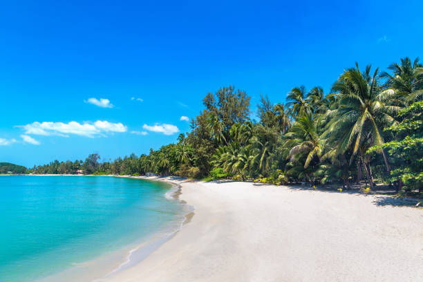 istock Tropical beach in Thailand 1256939206