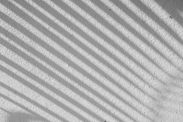 istock abstract shadow batten of lath and morning light on white concrete wall texture background 1256940853