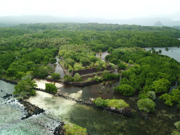 istock Nan Madol in Pohnpei, Micronesia 1256947698