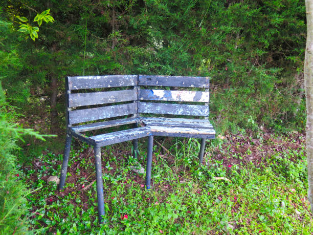 istock outdoor wooden bench 1256947818
