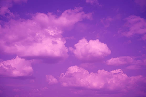 Blue sky with fluffy pink clouds at sunset. Purple sky background.