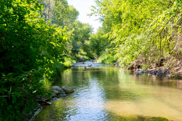 istock River Stream Along the Dripping Rock Falls/Hike on a Summer Afternoon 1256949994