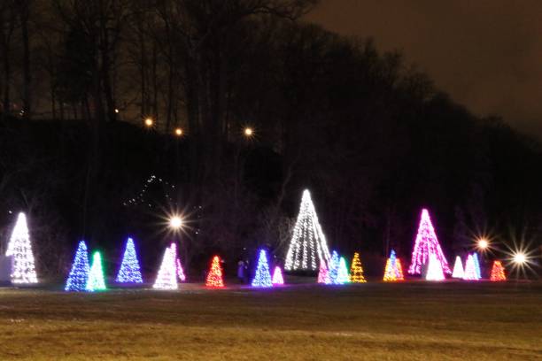 istock Christmas Lights by the Falls 1256951472